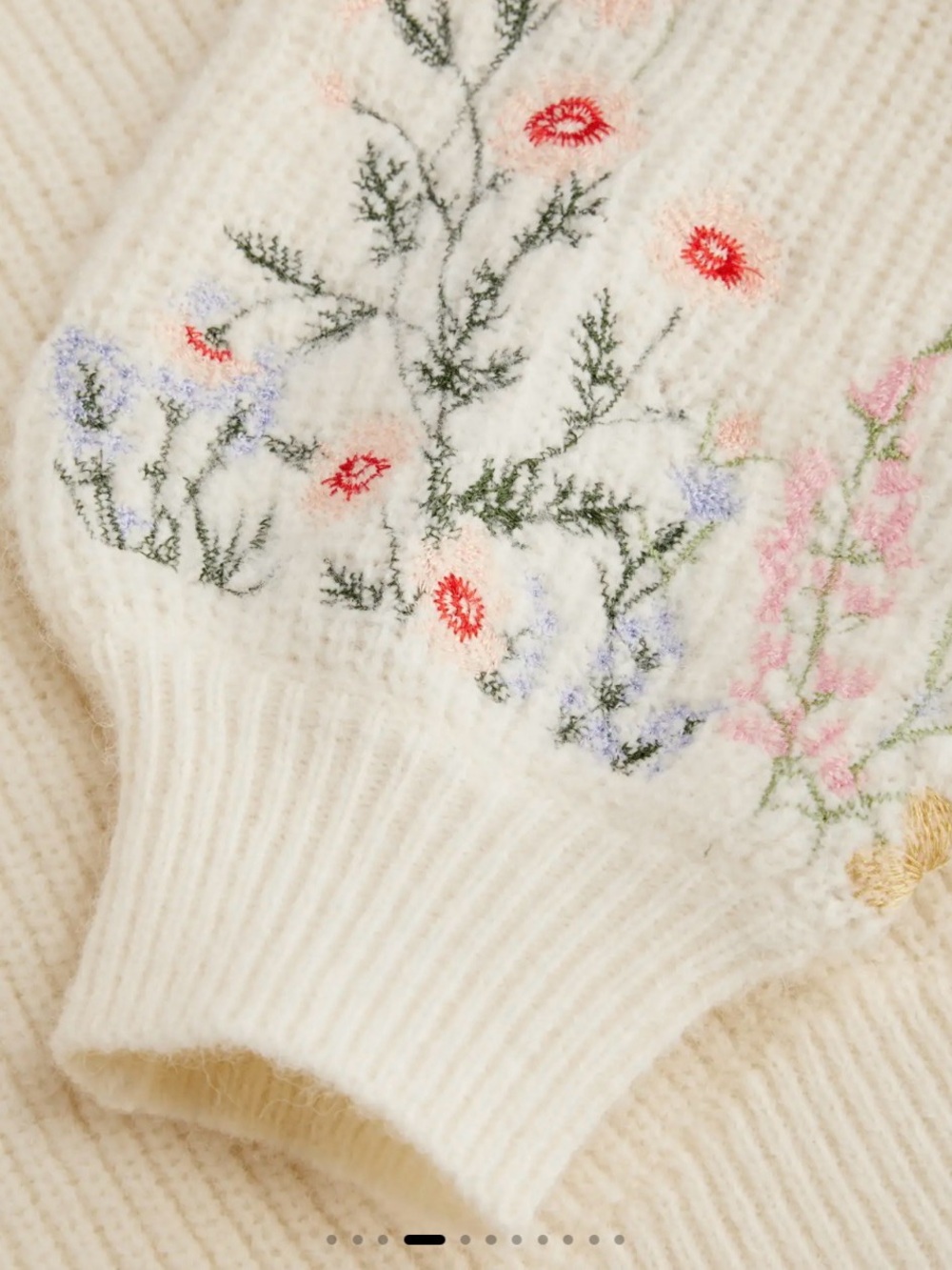 Cider Cream Cropped Crewneck Sweater with Floral Embroidery - Picture 4 of 8